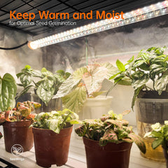 Bstrip LED strip close-up highlighting full-spectrum lights that support strong plant growth