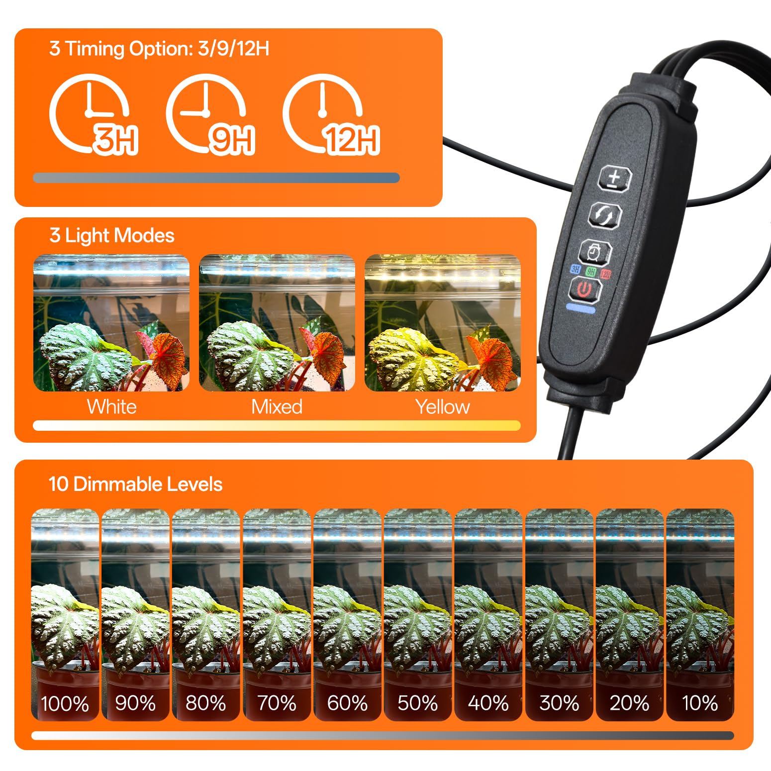 Bstrip on a windowsill in a living room showing decorative indoor gardening benefit