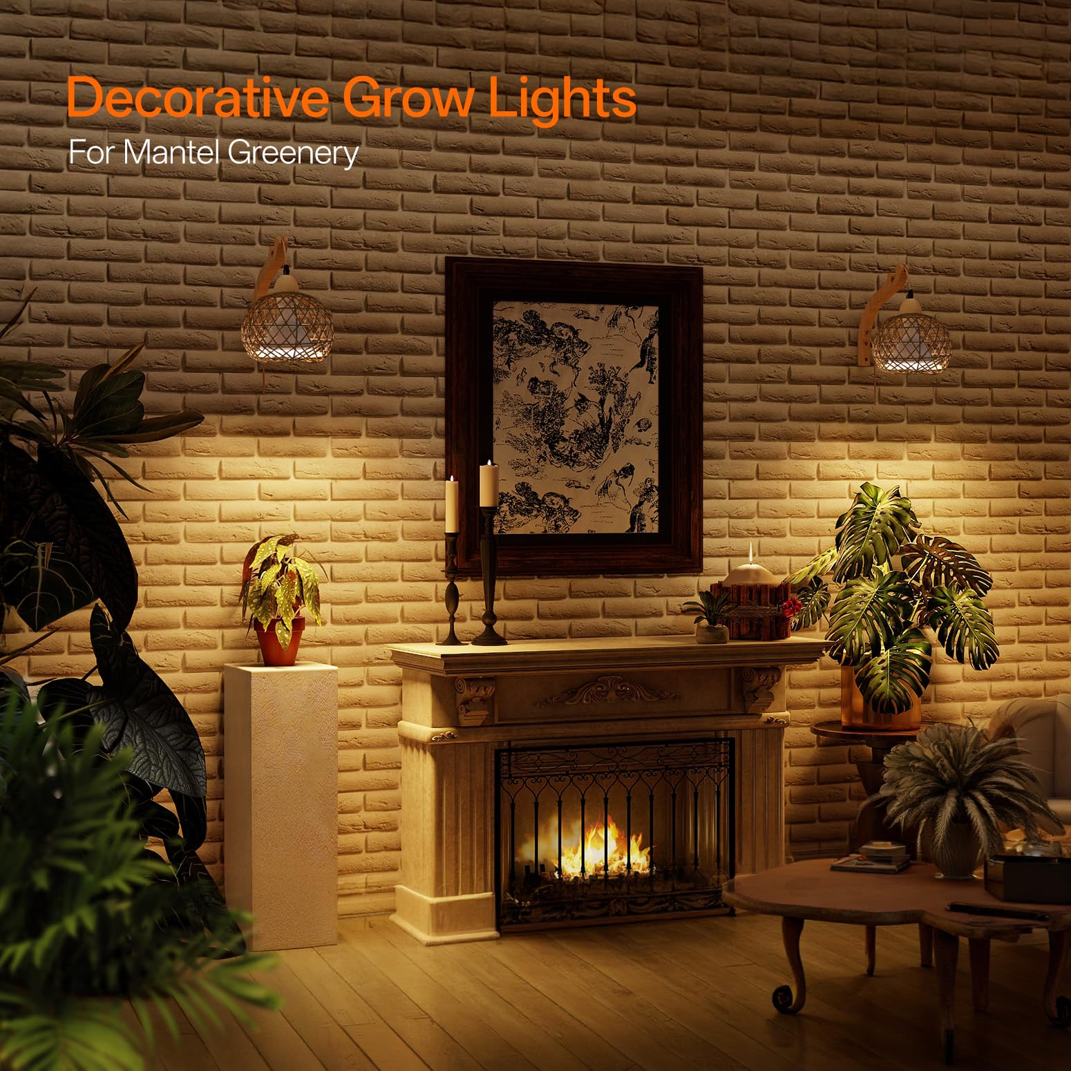 Bstrip over plant shelf lifestyle image showing improved leaf color and stylish decor