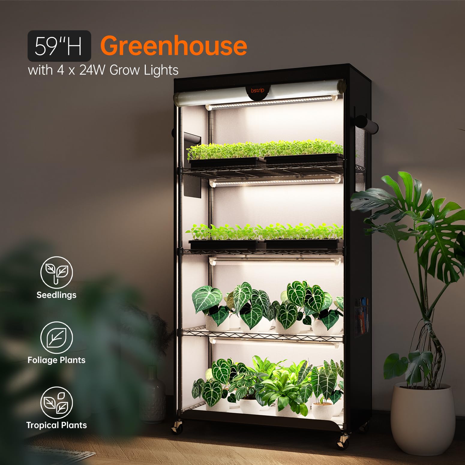 Bstrip open door showing four shelves and trays making plant access and organization easy