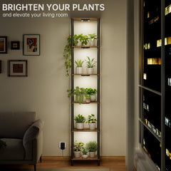 Bstrip close-up of top shelf with pots showing stable support and decorative display