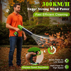 BSUBSU in-use cleaning a garden path for fast leaf and debris removal