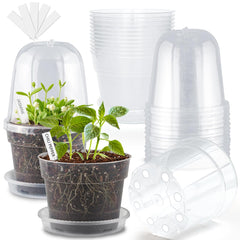 BTPLASTIK clear pot front view showing transparency and easy monitoring