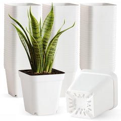BTPLASTIK front view of 80 white 4-inch nursery pots showing organized pack and benefit