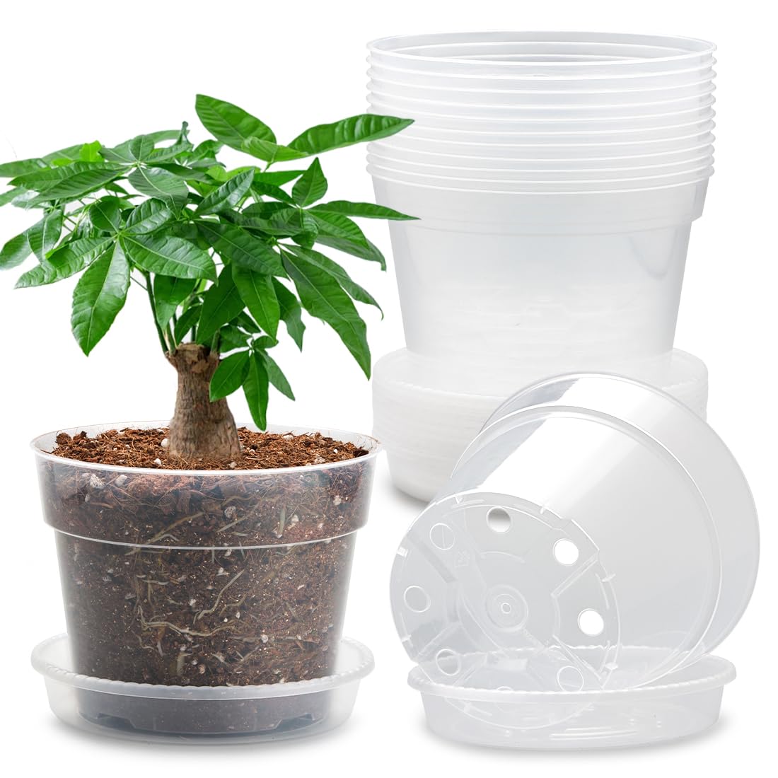 BTPLASTIK front view of clear 7-inch pot and saucer shows neat presentation and protection