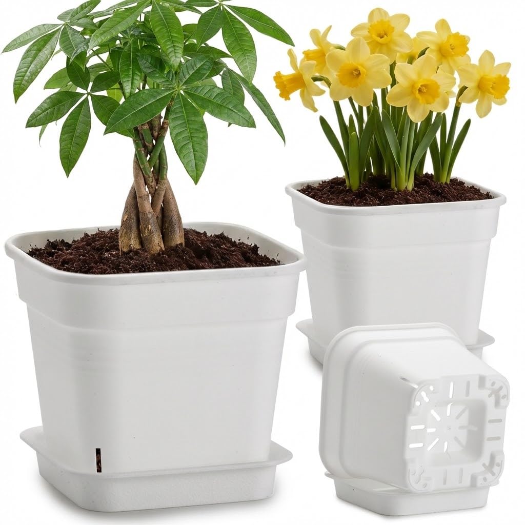 BTPLASTIK six-pack front view showing neat arrangement and modern benefit