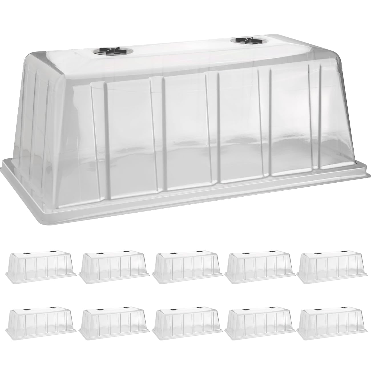 BTPLASTIK front view clear dome showing secure tray fit and better germination