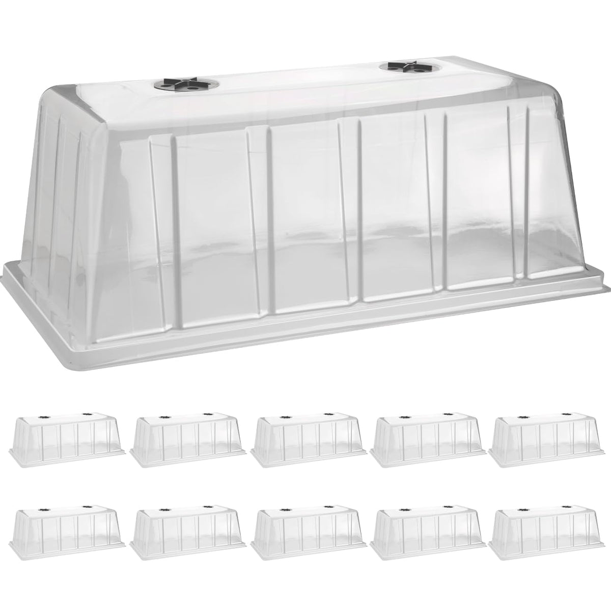 BTPLASTIK front view clear dome showing secure tray fit and better germination