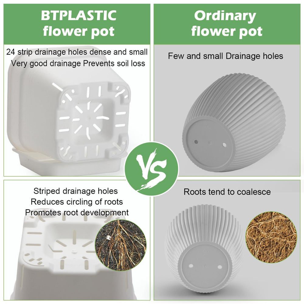 BTPLASTIK styled with herbs and succulents for attractive home decor