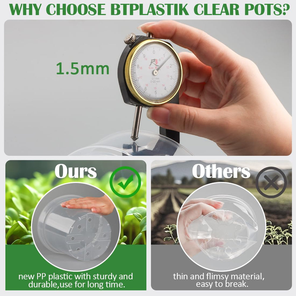 BTPLASTIK seedlings in clear pots on a windowsill demonstrating easy root inspection and healthy growth