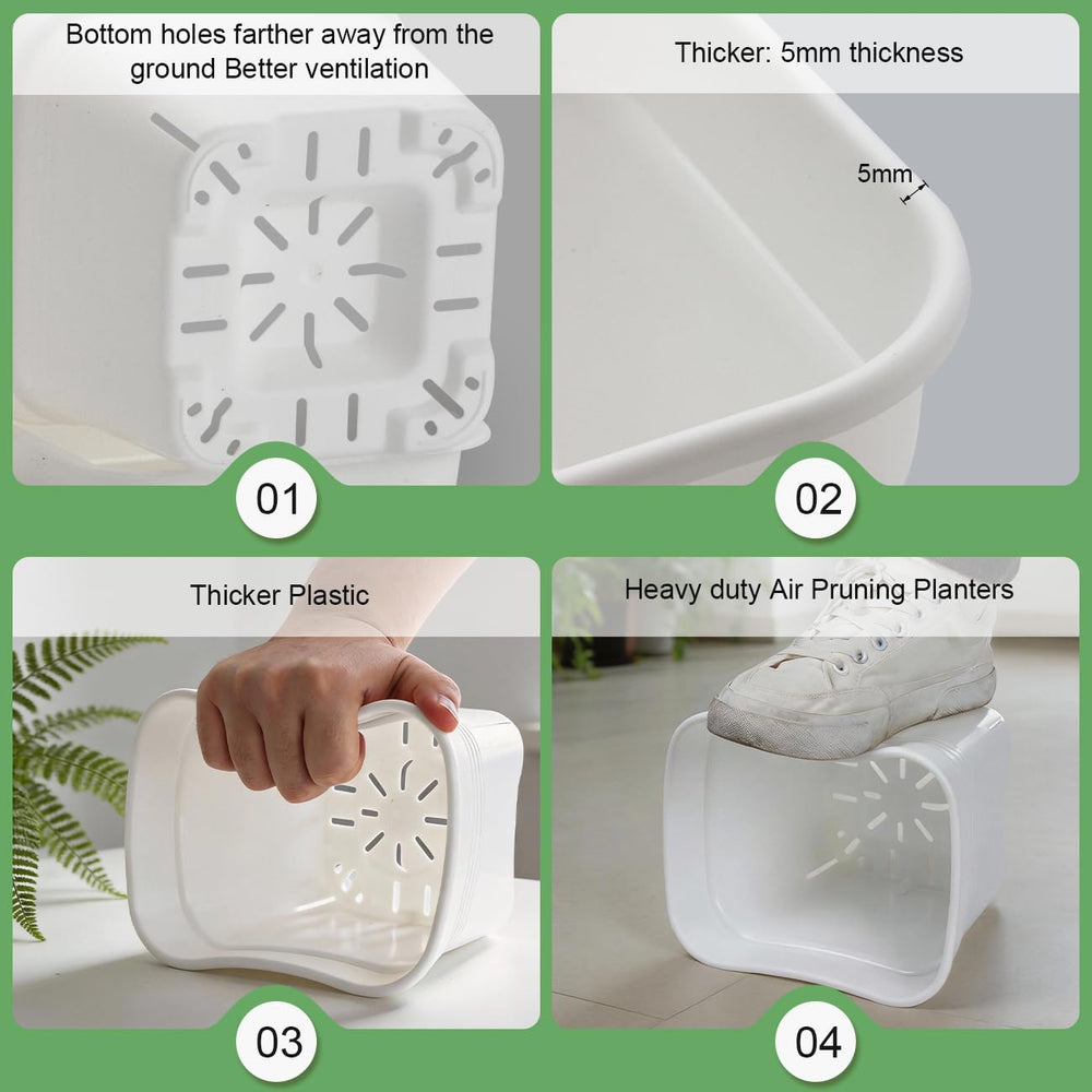 BTPLASTIK in use on a windowsill enhancing plant health and display