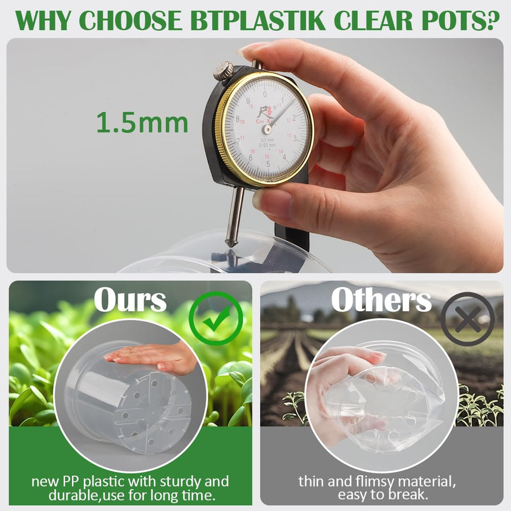 BTPLASTIK pots on a windowsill with herbs demonstrating healthy indoor cultivation