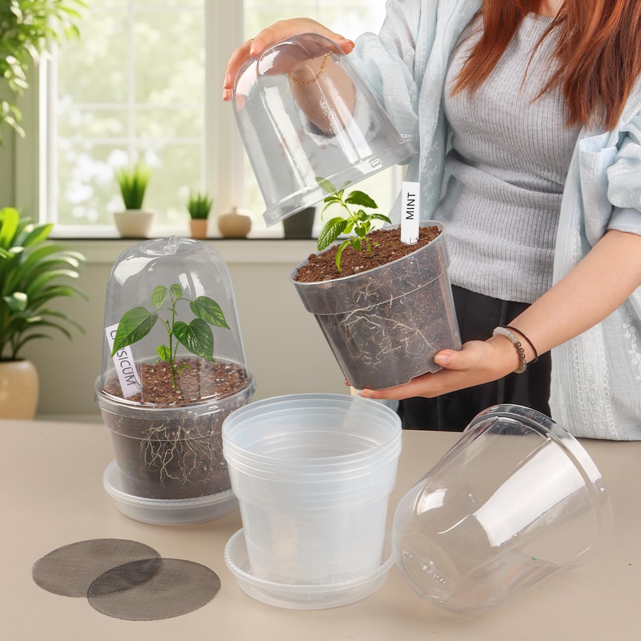 BTPLASTIK pot in use on windowsill showing healthy seedlings and light exposure