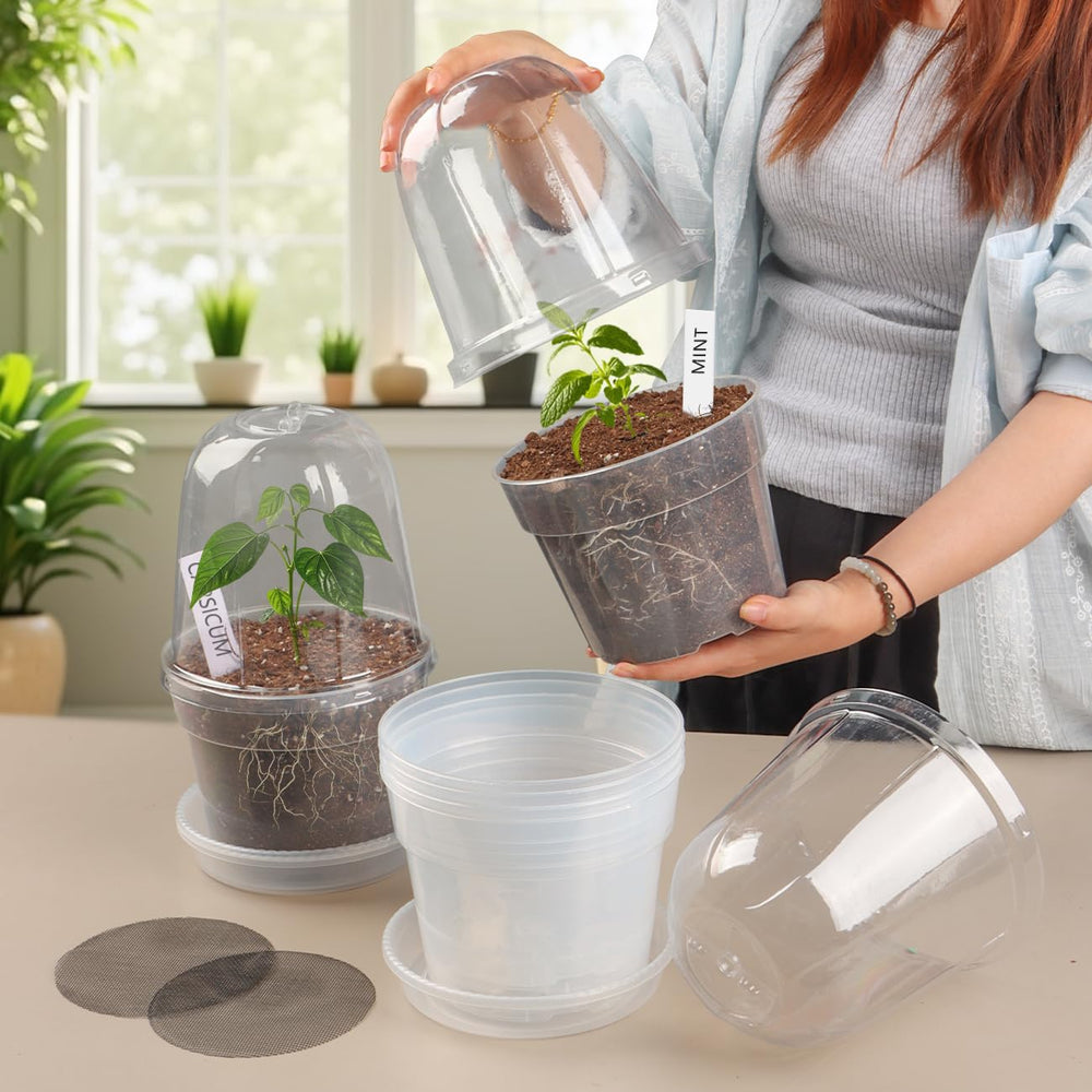 BTPLASTIK pot in use on windowsill showing healthy seedlings and light exposure
