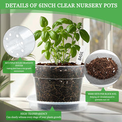 BTPLASTIK pot filled with soil and label for organized propagation