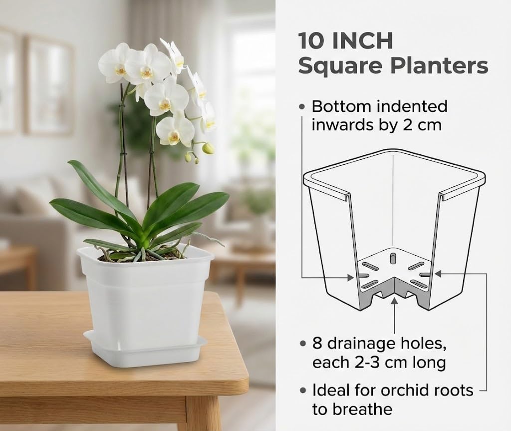 BTPLASTIK planter with matching saucer side profile protecting floors from runoff