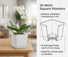 BTPLASTIK planter with matching saucer side profile protecting floors from runoff