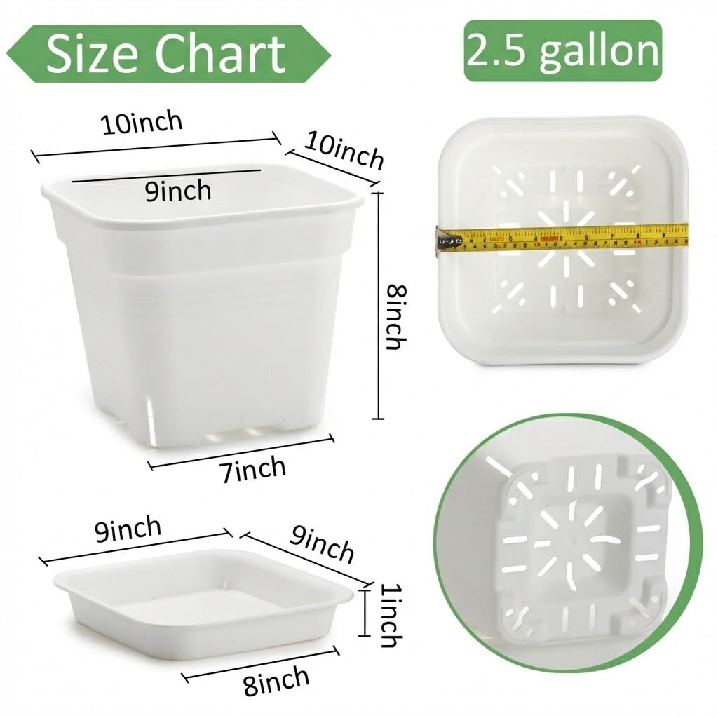 BTPLASTIK 10-inch pot held in hand for scale showing generous soil capacity