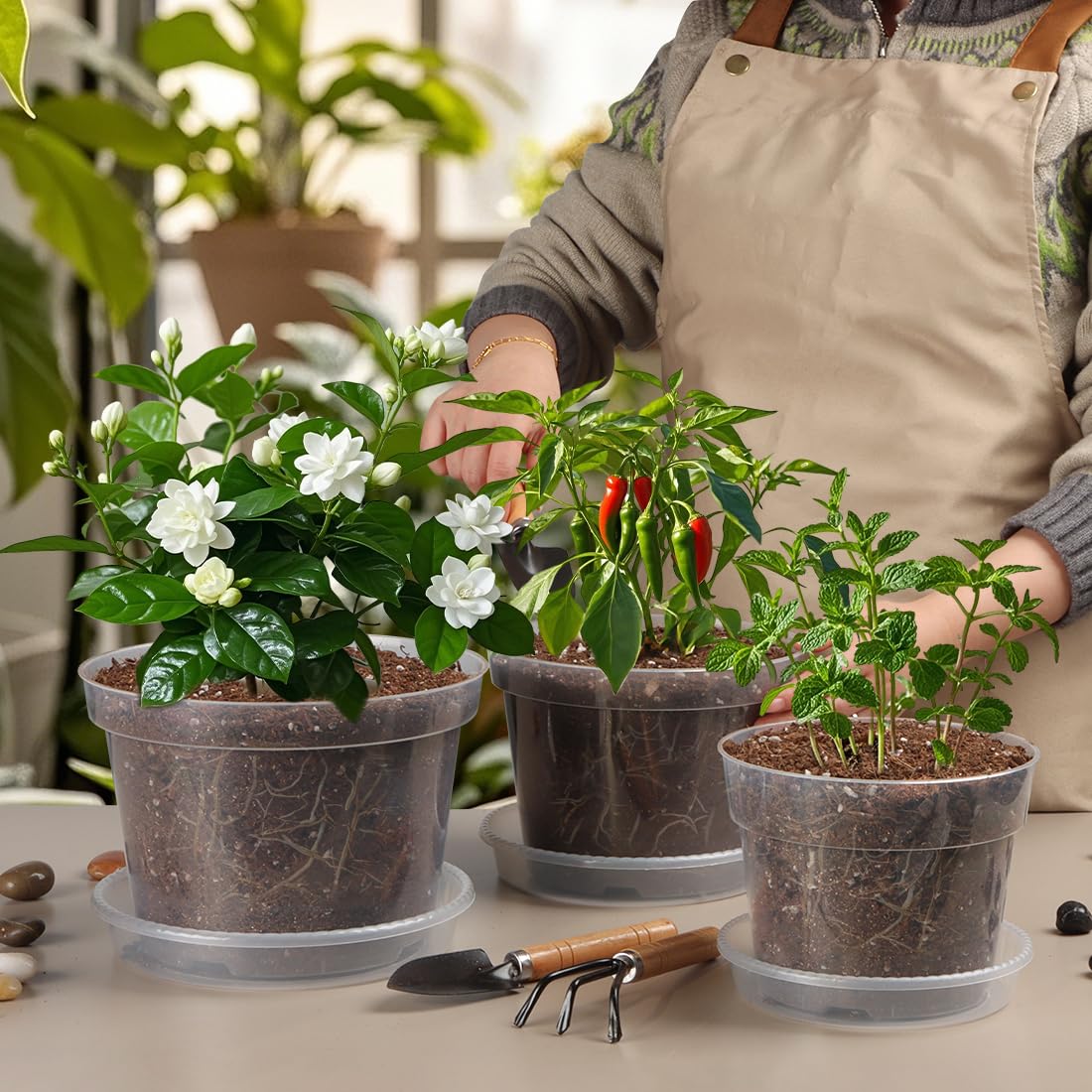 BTPLASTIK three pots side-by-side comparing 6, 7, 8 inch sizes for choosing right pot as plants grow
