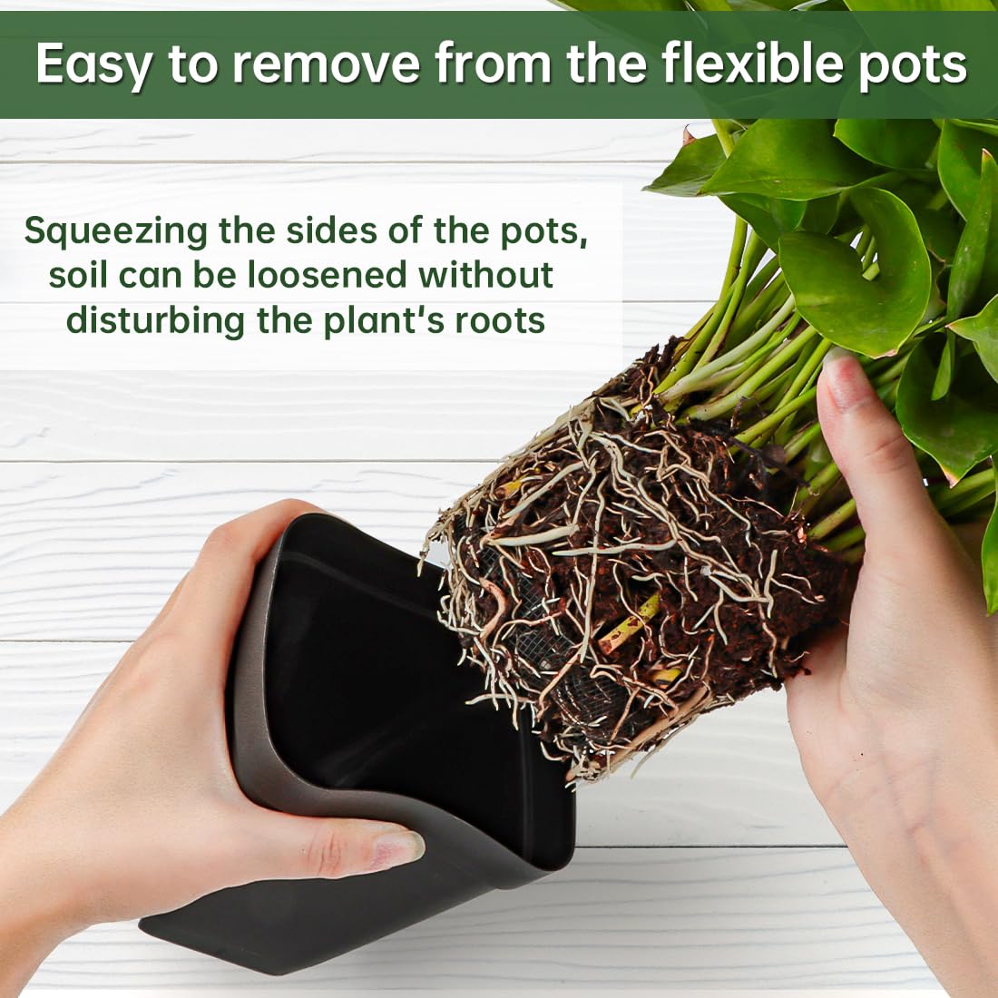 BTPLASTIK side shot of flexible pot wall easing transplant without root damage