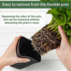 BTPLASTIK side shot of flexible pot wall easing transplant without root damage