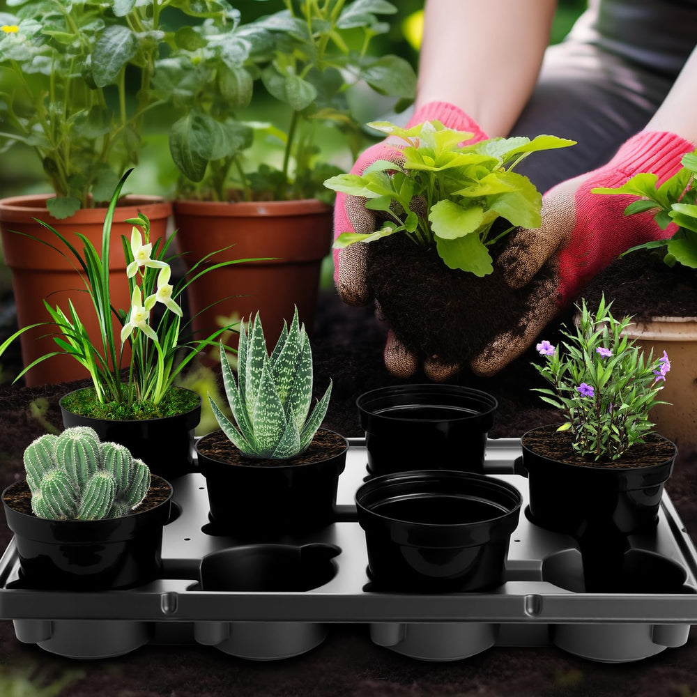 BTPLASTIK tray next to a hand to show compact size and easy single-person carrying