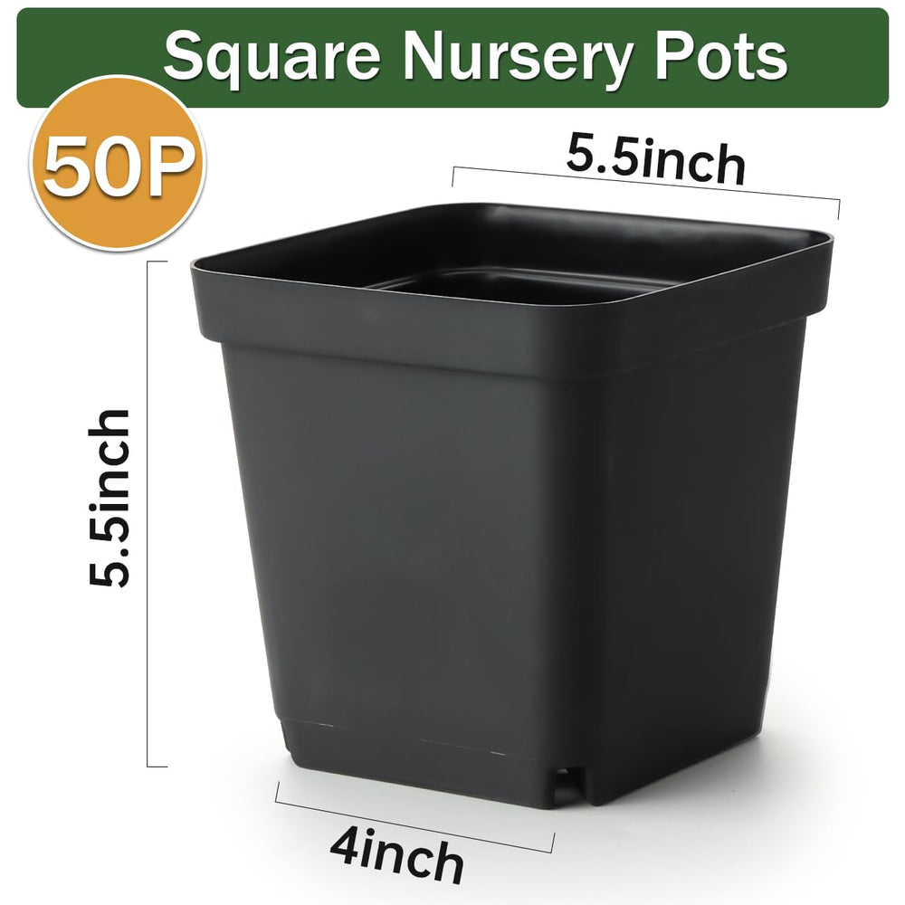 BTPLASTIK pot held in hand for scale showing 5.5 inch size for versatile planting benefit