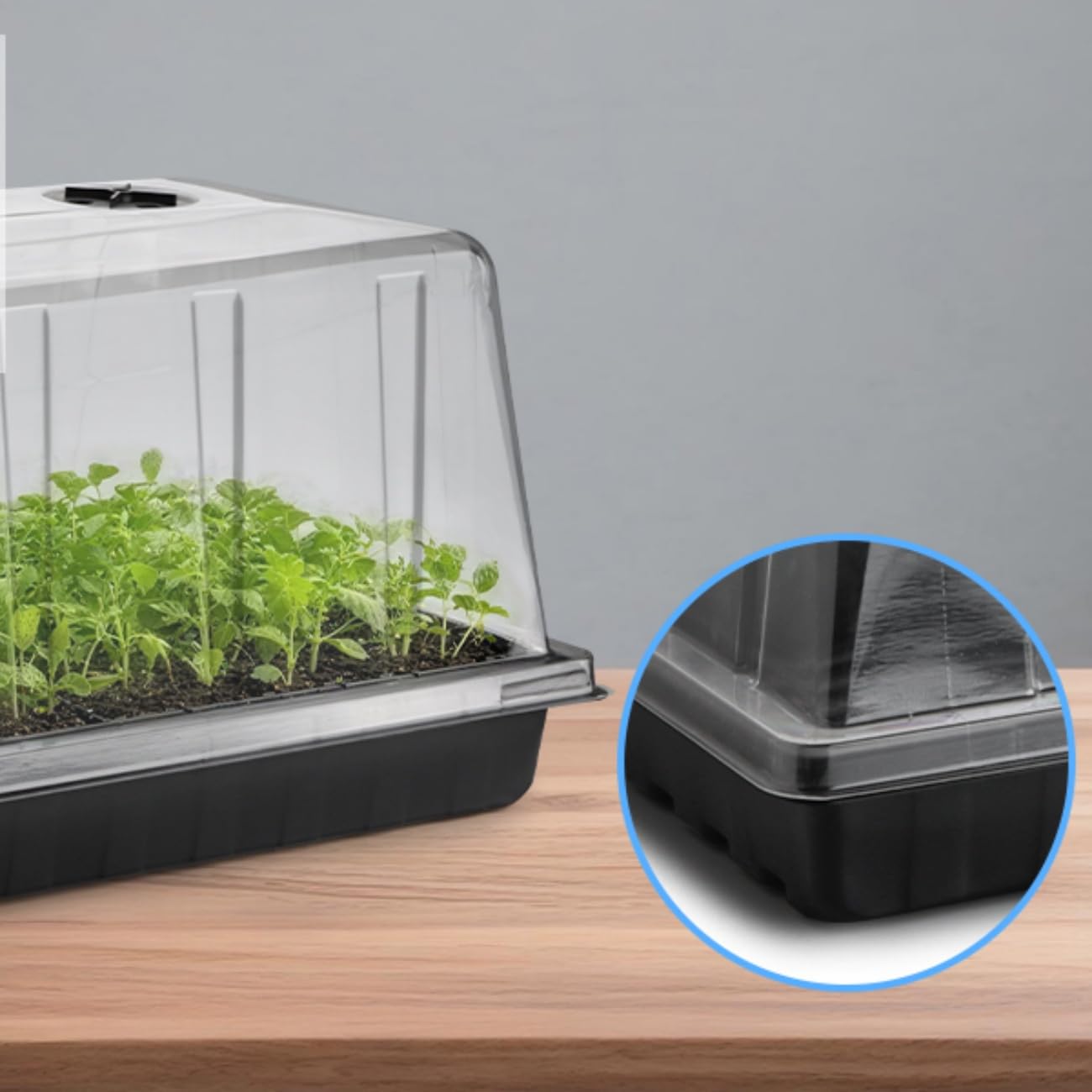 BTPLASTIK domes stacked for compact storage preserving clarity and space