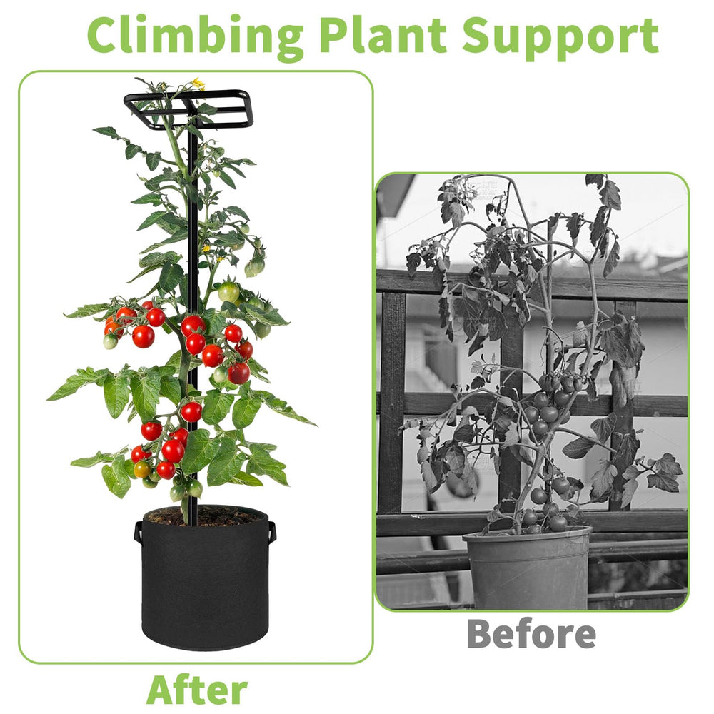 BTXKQTH balcony setup with vertical garden saving space and boosting yields