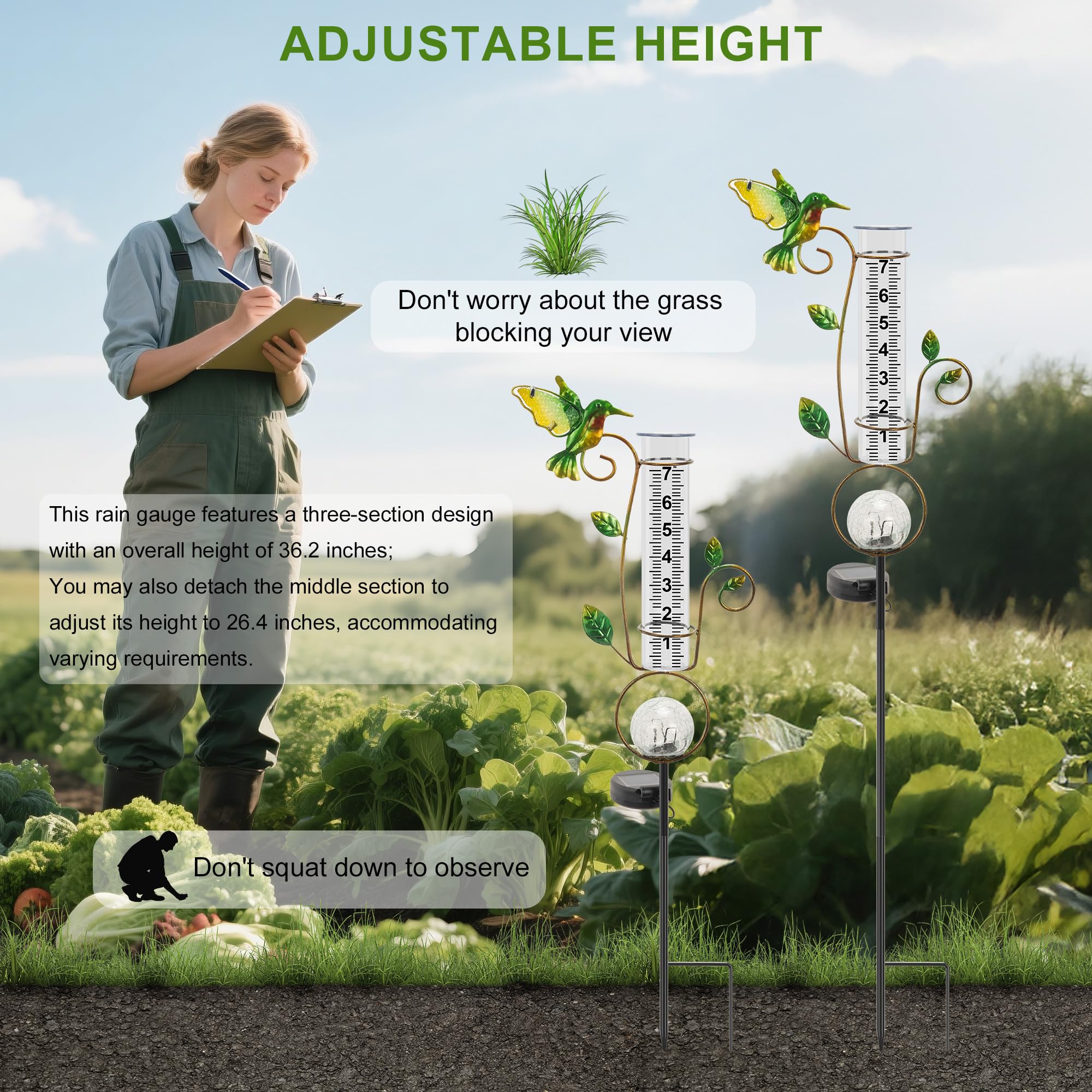 BUARO8AGA size comparison with ruler clarifies 36-inch height for placement planning
