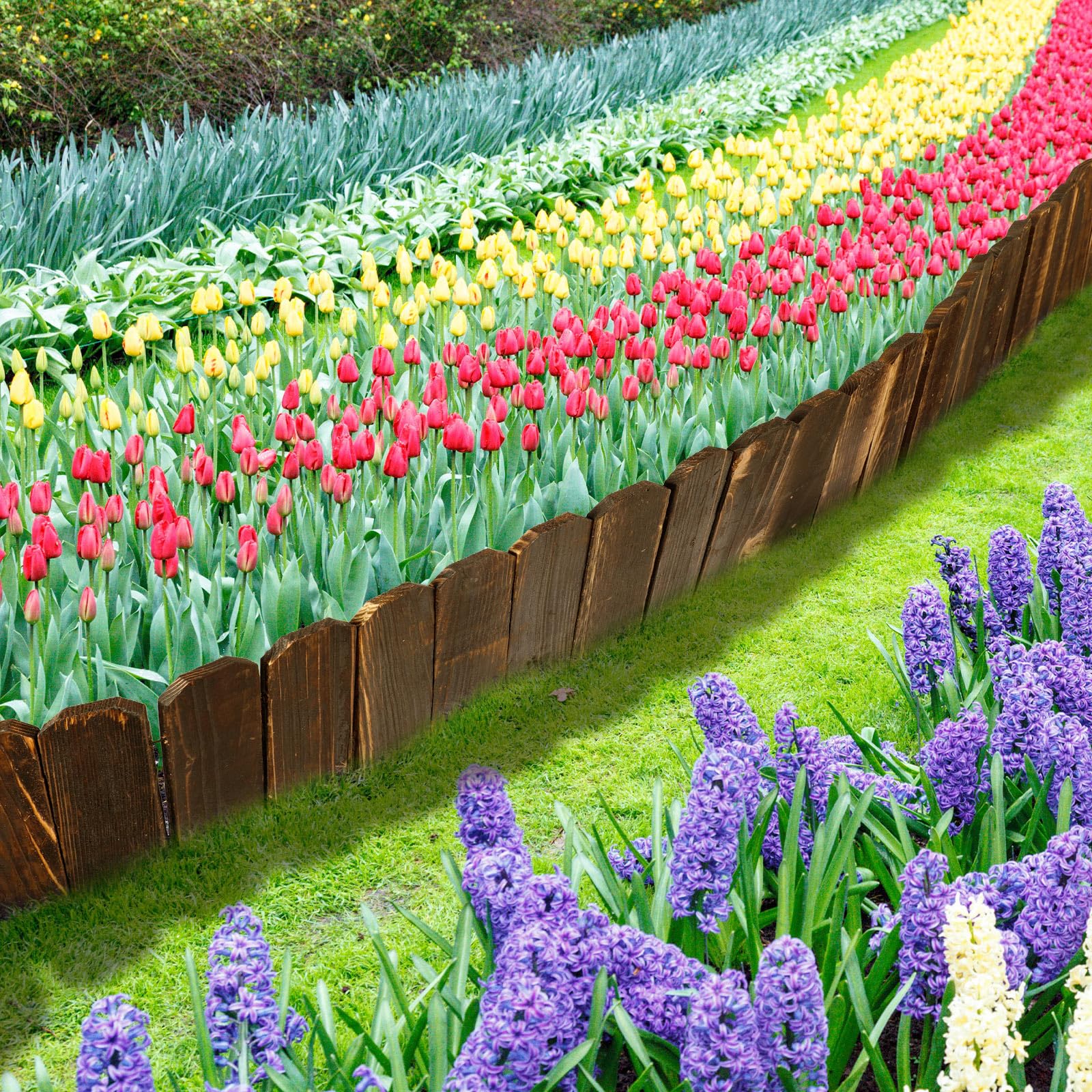 Bucherry pathway lined with edging and mulch showing defined walkway benefit