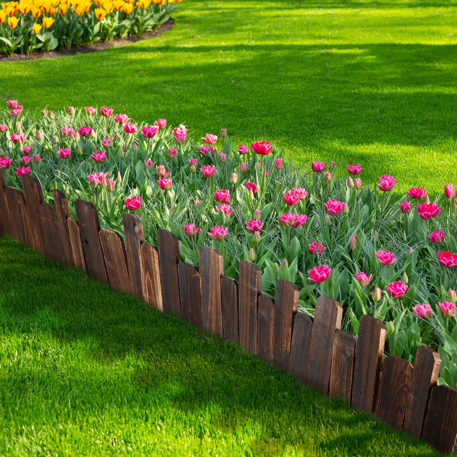 Bucherry curved border around flowerbed demonstrates flexible shaping benefit