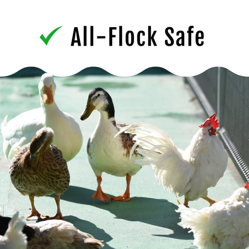 Buff Clucks sprinkle in nesting box to freshen bedding and attract birds
