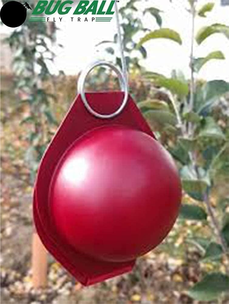 Bug Ball Catch EM brush application to trap showing easy sticky coating for fast setup