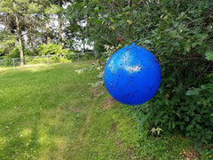 Bug Ball inflated and hanging in backyard showing easy deployment and fewer biting insects