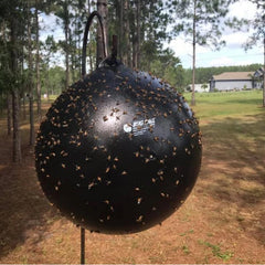 Bug Ball inflated and hung in a backyard capturing flying insects