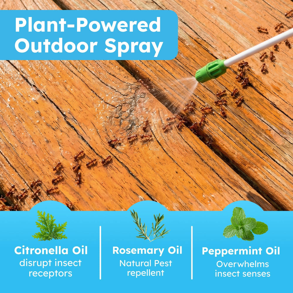 BugMD label and ingredients panel detailing peppermint, rosemary, citronella blend