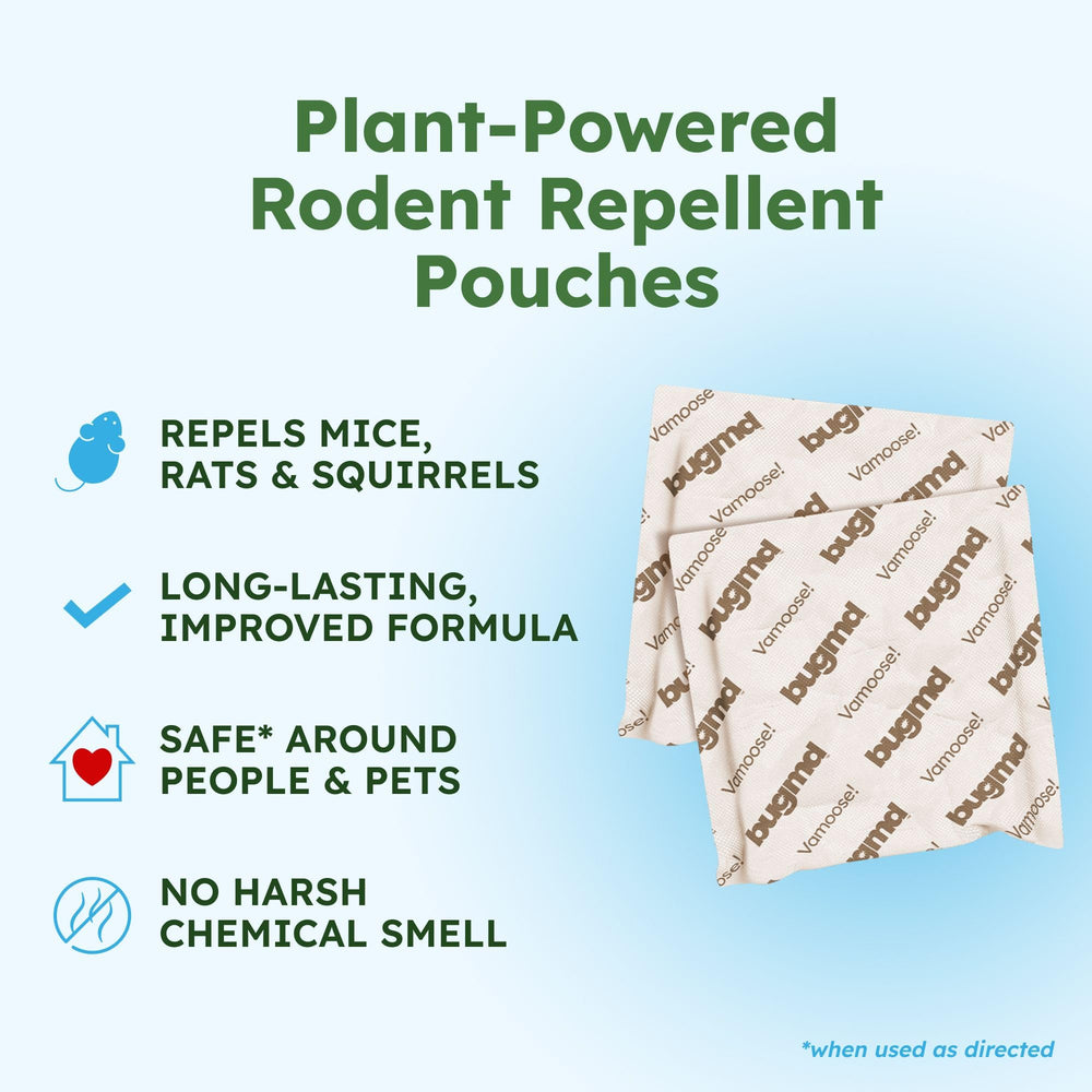 BugMD in kitchen pantry providing non-toxic protection for food storage