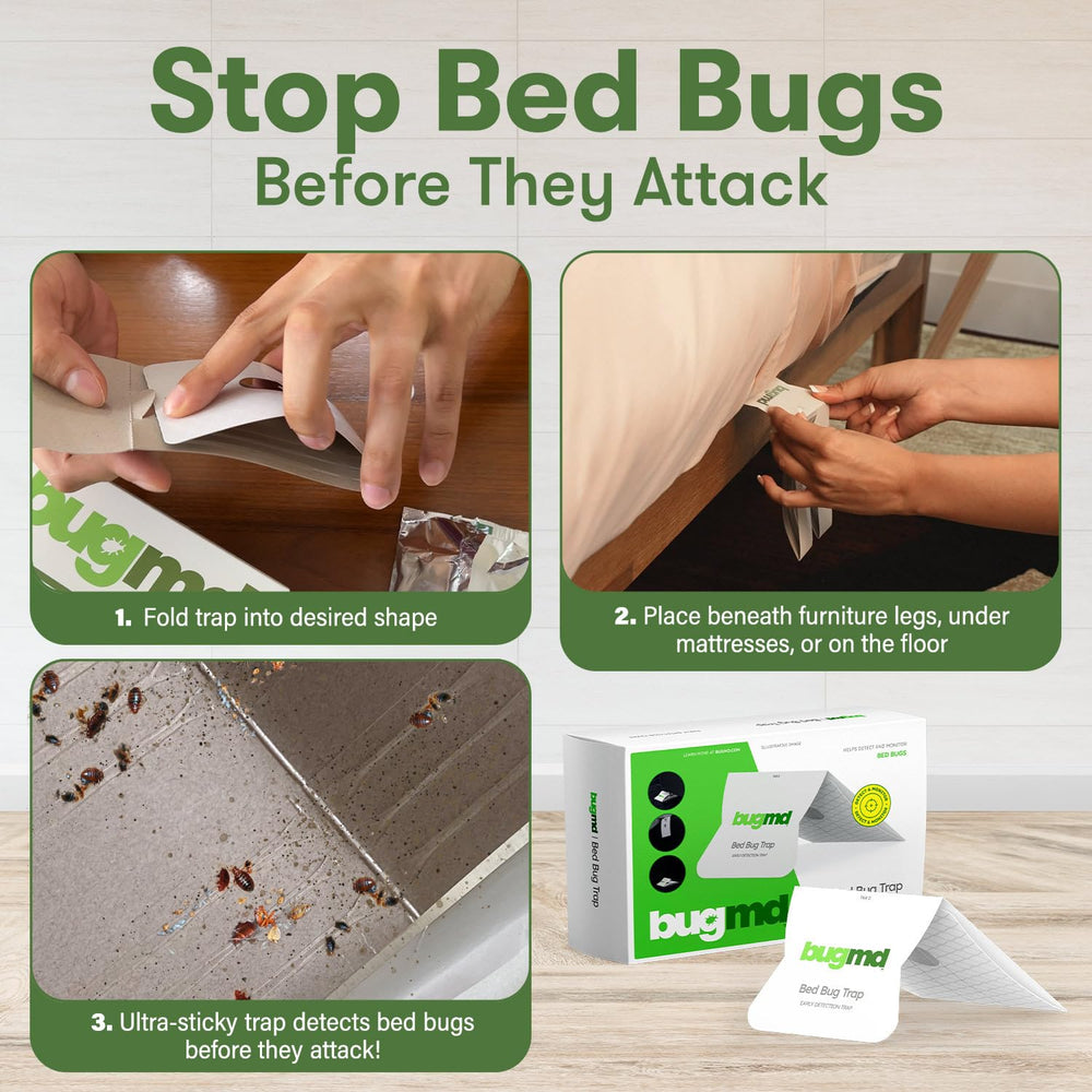 BugMD trap under bed leg blocking pests and protecting sleep area