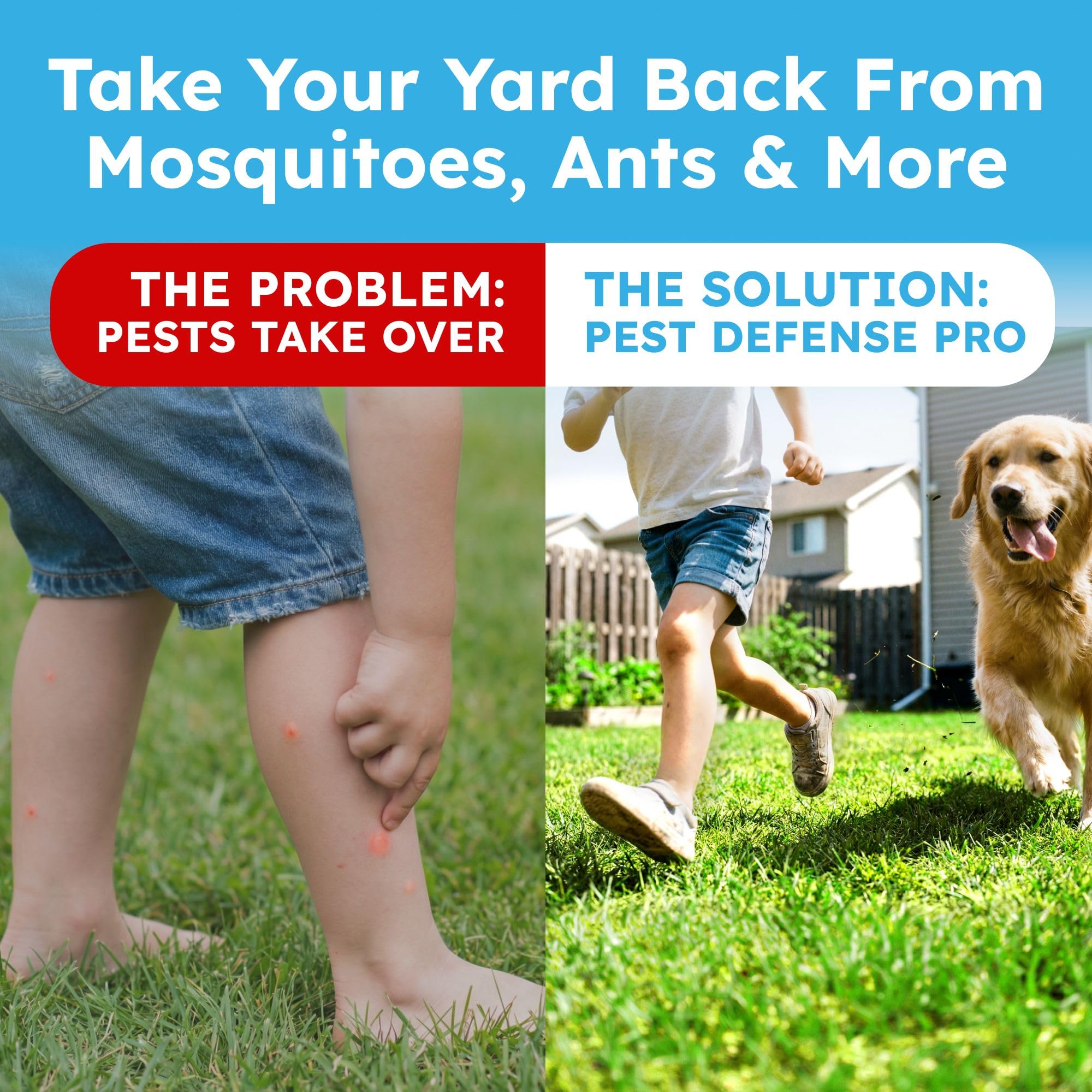 BugMD treated lawn edge with scale to show coverage and yard protection
