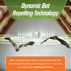 BugWomp BEU-W side profile highlighting slim housing and discreet installation advantage