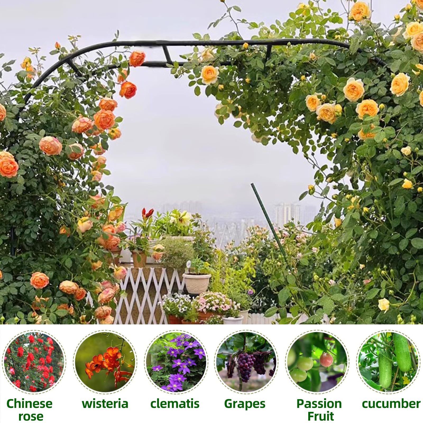 BUKLIYN arch covered in climbing roses highlighting plant support