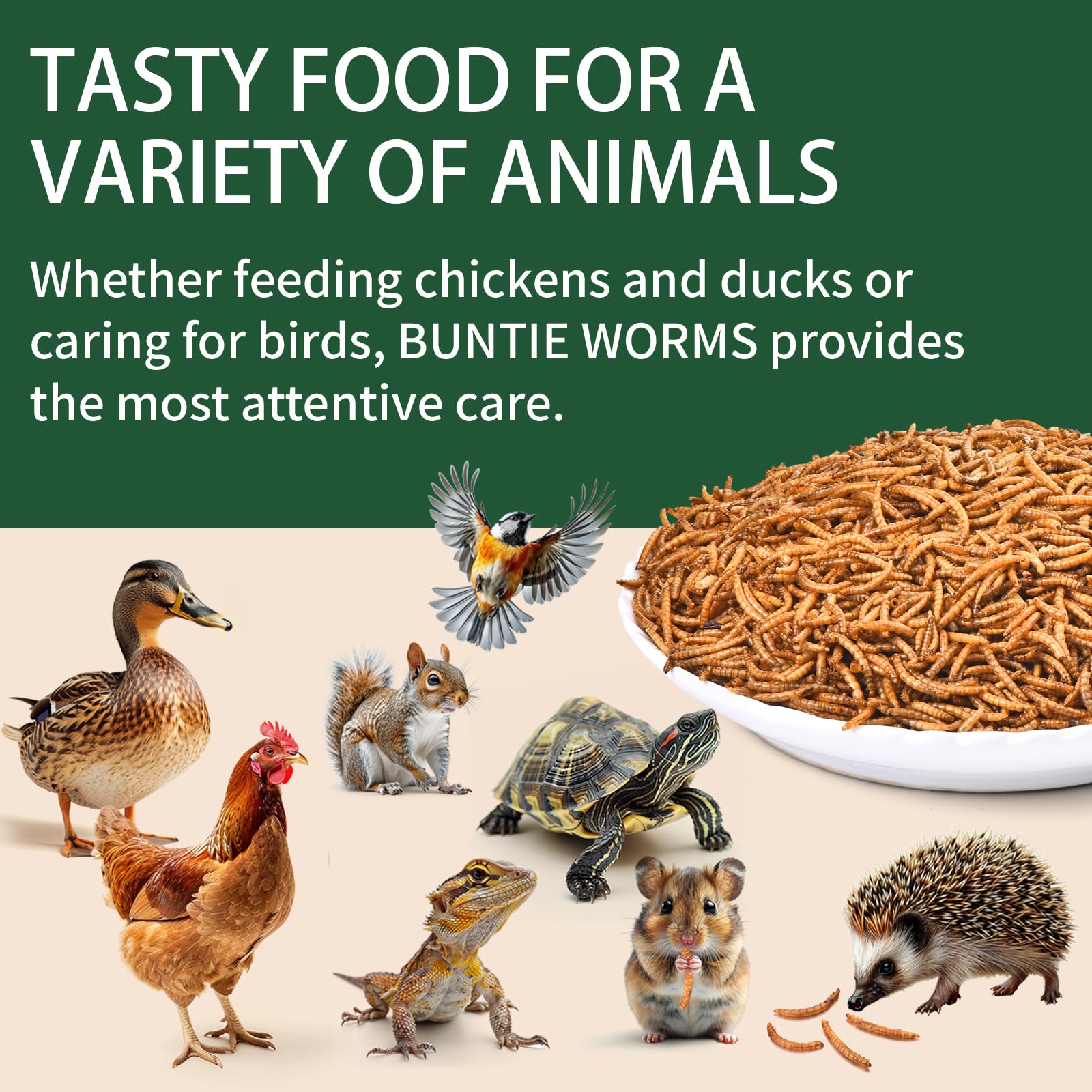 BUNTIE WORMS stored on shelf demonstrating shelf-stable dry storage