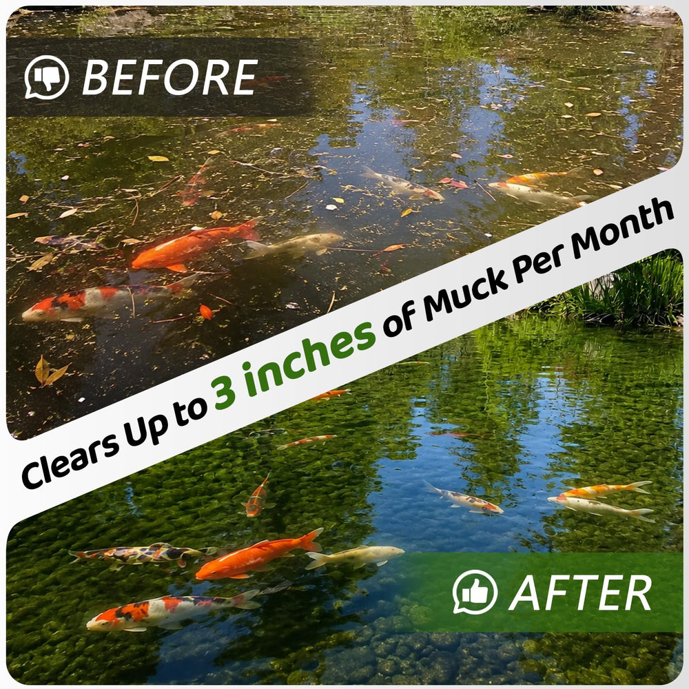 Burnvale pellets sinking to pond bottom to target sludge quickly