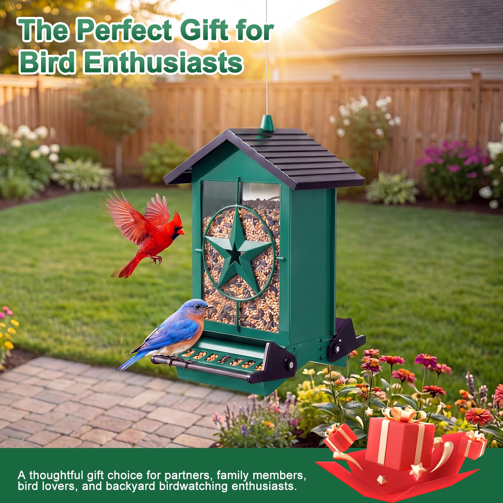 buteafly decorative star detail adding visual charm to garden setting benefit