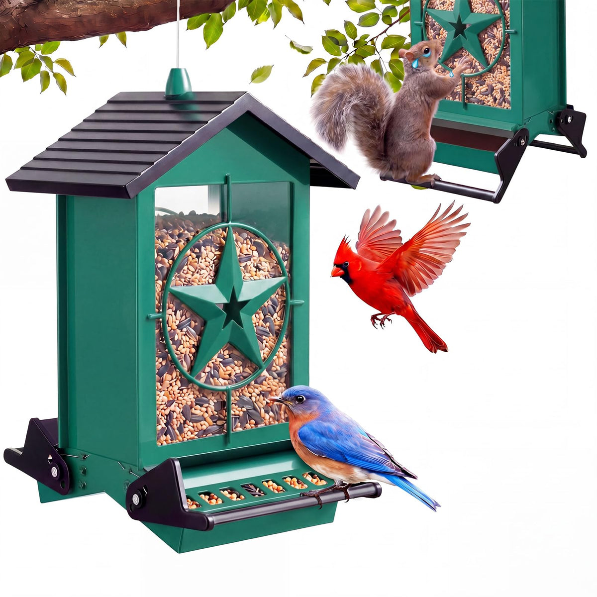 buteafly front view of blue feeder showing hanging design and bird access benefits
