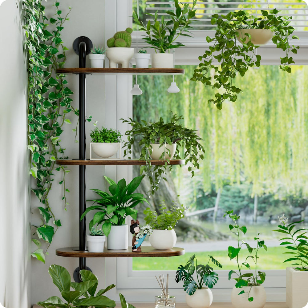 BUTUNITA corner installation in living room illustrating compact use and decorative appeal