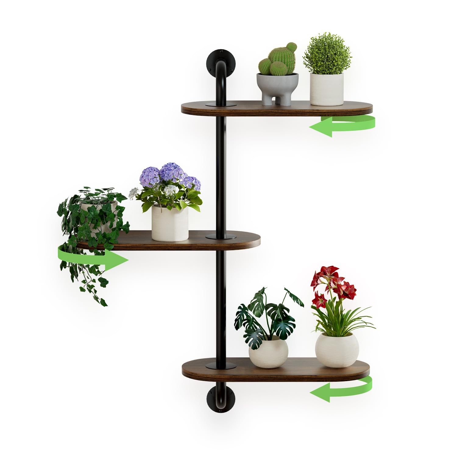 BUTUNITA full room decor shot with shelf displaying plants to enhance interior greenery