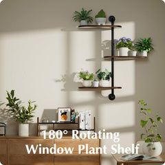 BUTUNITA shelf installed on kitchen window showing herbs benefiting from optimal sunlight