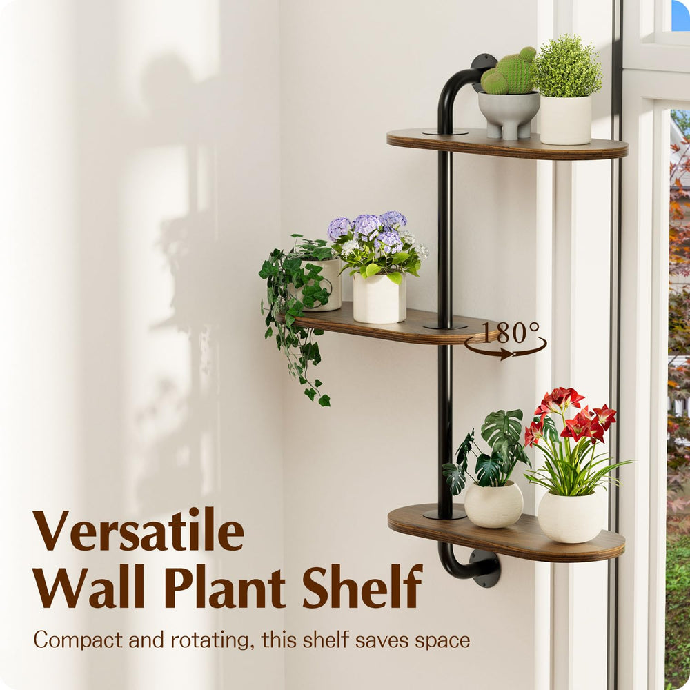 BUTUNITA shelf next to a standard pot for scale showing multi-plant capacity benefit